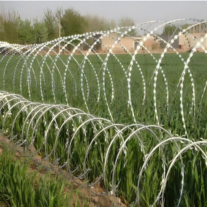 Stainless Steel Razor Wire high quality